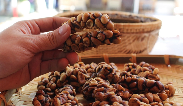 Cà phê chồn được làm từ cà phê trong phân chồn